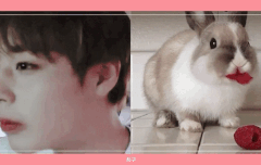 싱크로율 100이다 ㅋㅋㅋㅋㅋ