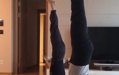 요가마스터 나타나네