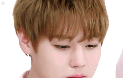 윙깅이 주간아 울음짤 나왔당!!!