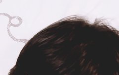 부기단!! 김종현 아는횽님 나온대