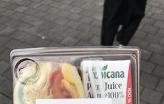 역조공의츤데레