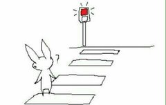 나오늘 덕통사고