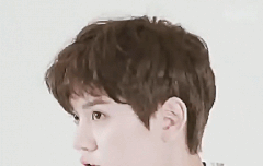 망고 쎄씨 영상 움짤 부리입 개귀여워ㅠㅠ