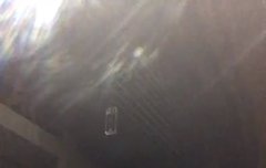 오늘새벽4시에라이브킨 지디