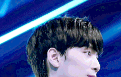 부기단들  다 어디갔어