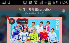 하셍운이 ~ 프로아도루!!!