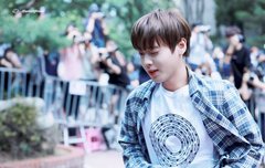 윙깅이 이름값하네