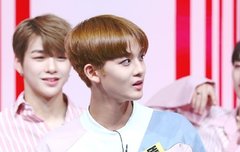 섹숀티비진영이