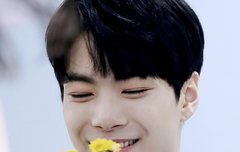 샤이부기단들!!