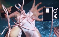 밑븍단 받고 역대급 산책짤 올린다