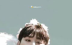 앙 요정지성 보고가