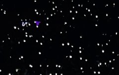 엑소 카이의 아기곰적 모먼트