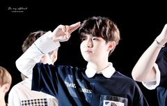 이짤 진짜 애기같애