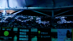 오늘 라이트100일이야