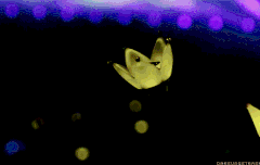 언젠가 있을 완전체 콘서트때