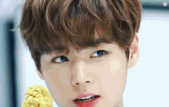 프듀지후니짤좀나눠주세요ㅜㅜㅠ