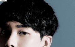 채색버전아로니