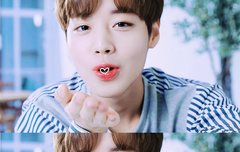 윙깅이 배경화면