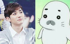 아로니 닮은꼴2