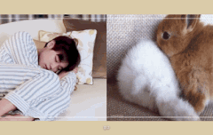 토끼2탄ㅋㅋㅋㅋㅋㅋ