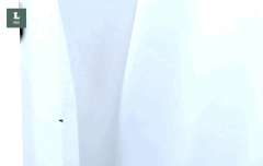 이움짤봤너ㅜㅜㅜ