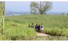 추석 메세지 영상