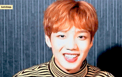 ㅅㄷ 시즌그리팅