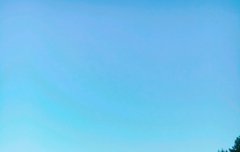 171002 노태현 공짹