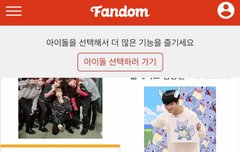 투표 이것도 해줘!