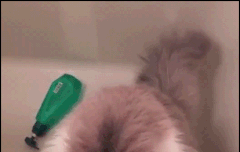 엠넷 틀었는데 우연히 프두가 하고있을때...