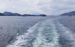 ㅅㄷ갈매기먹이줬엉ㅎ