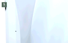 얘들아 관린이 프로아이도루짤 보고가