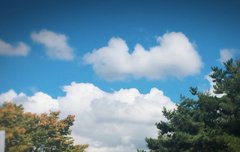 방토들 오늘 하늘 대박적이었어~