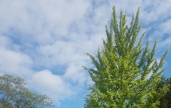 나도 오늘구름사진 올려봥