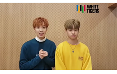 화이트타이거즈인별