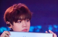 진화한 윙깅이의 자화상