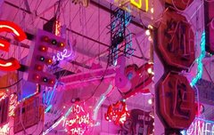 밥알들아 난 수능 끝나면 인생 던질게 잠만..