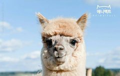 ❌❌❌❌플미충❌❌❌❌❌