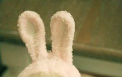 안뇽 나  타팬인데 트와이스knock knock가사