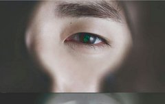 존잘 치명열매론