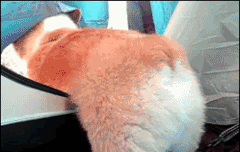 공카에 영민이가 글썼다!!!