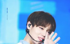 금발아닌 갈발 뉴과질