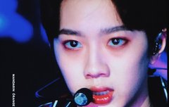 강진 페스티벌 프리뷰