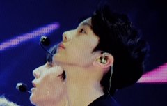 강진 프리뷰 대박