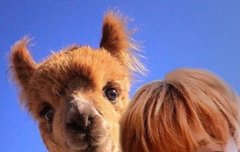 방토들 응원법 다외웠어?