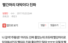 뭐지 글이 왜 사라진걸까.,