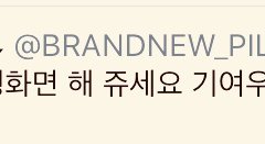 짹펌 영미니 배경화면