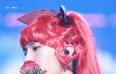 몇명이서 팬톡굴리는거야?