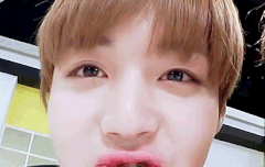 씹덕 그자체 박윙깅 (ㅇㅈ댓)