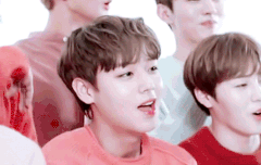 오케오케~투표인증